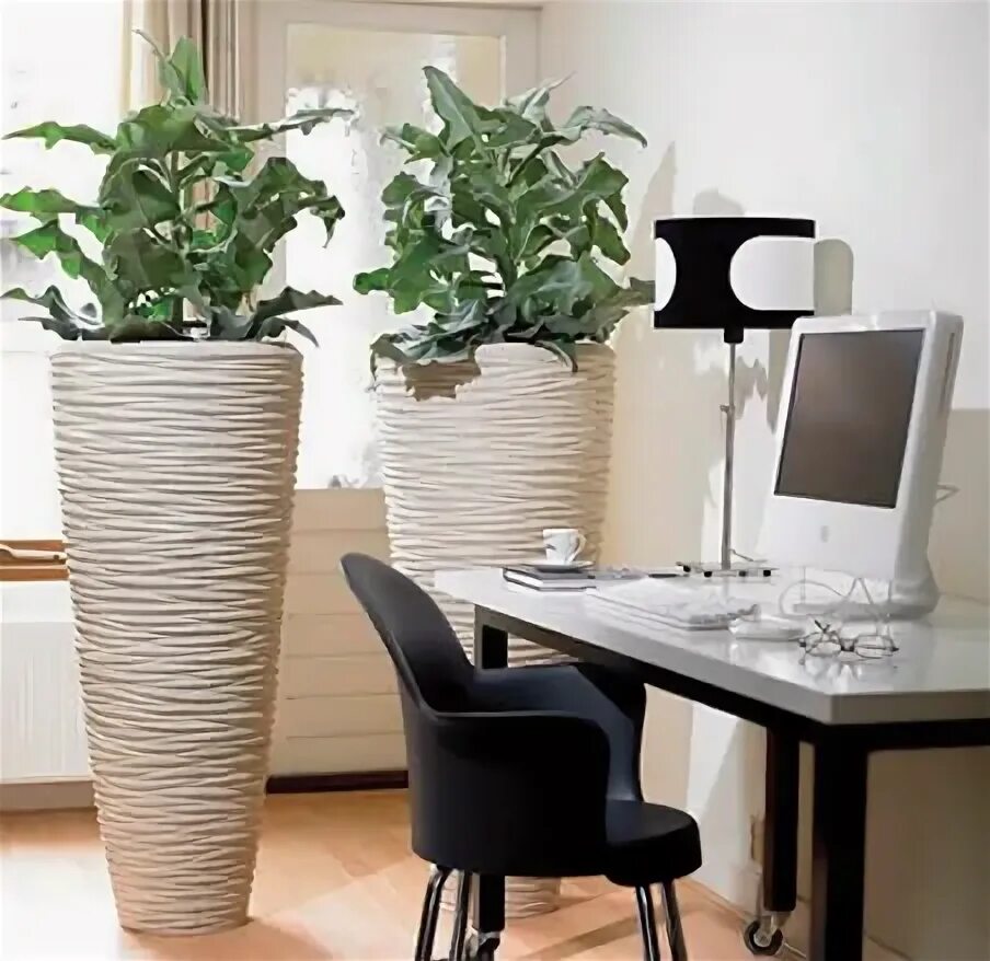 Кашпо для цветов в интерьере фото Office Plants - Office Plant Rental Ambius UK Office plants, Live indoor plants,