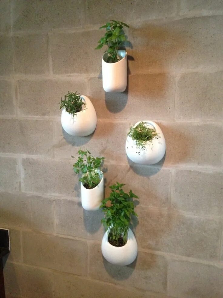 Кашпо на стене в интерьере фото Etsy-white indoor herb wall planters Plantadores de pared, Macetas de hierbas, P