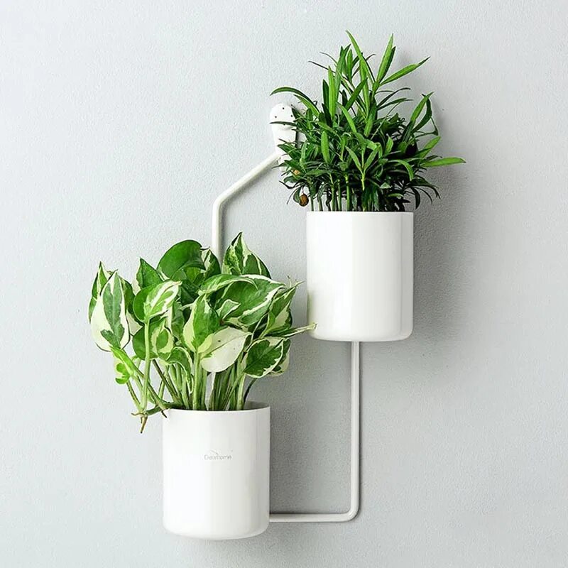 Кашпо на стене в интерьере фото Vertical Wall Planters Iron Wall Vase Hydroponic Plant Pot Hanging Flower Pot Wa