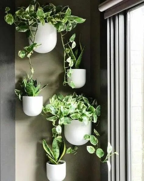 Кашпо на стене в интерьере фото Creative Ideas for Hanging Indoor Plants on Your Wall