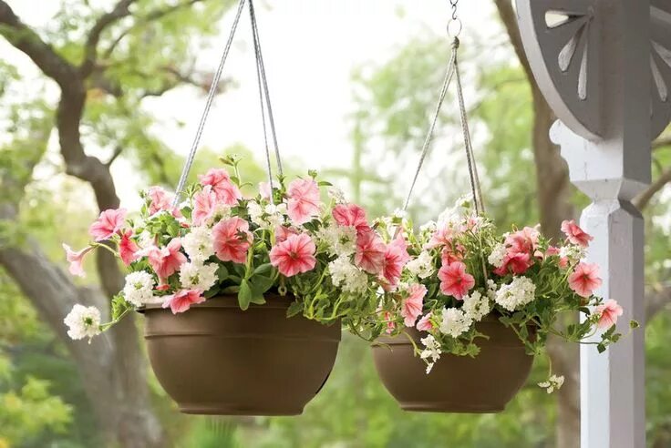 Кашпо на улице фото Hanging Baskets for Plants, Self Watering $125+ Orders Ship Free Hanging flower 