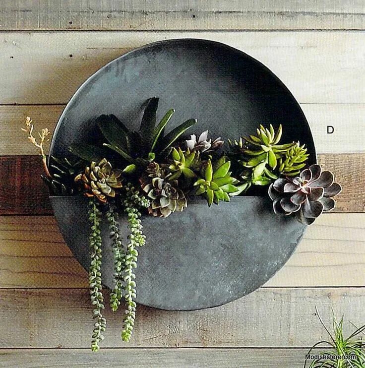 Кашпо с суккулентами и декором своими руками Roost Orbea Zinc Circle & Half-Circle Wall Planters Hanging plants, Succulents, 