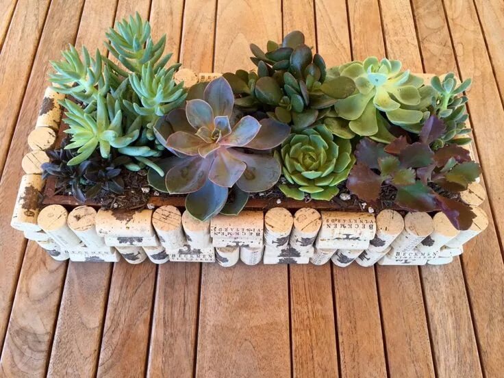 Кашпо с суккулентами и декором своими руками DIY cork planter wineglasswriter.com Wine cork diy crafts, Cork crafts diy, Wine