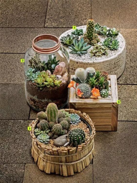 Кашпо с суккулентами и декором своими руками 30+ Succulent Garden Ideas Indoor and Outdoor for Garden Inspiration Suculentas,