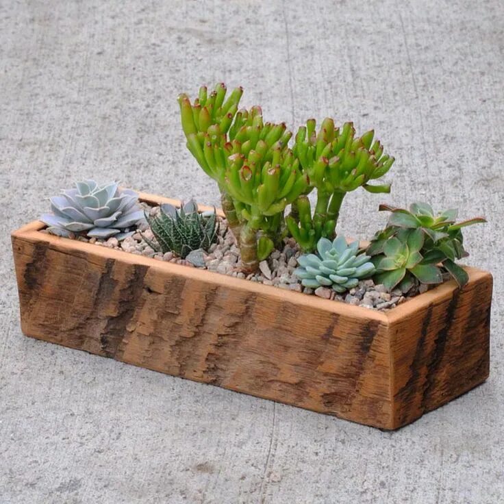 Кашпо с суккулентами и декором своими руками Gallery for Planted- Living Green Succulent garden diy, Succulent planter diy, P