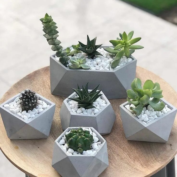 Кашпо с суккулентами и декором своими руками ❤ Cactos e suculentas. Cement crafts, Geometric planter, Planter gift