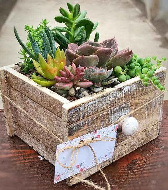 Кашпо с суккулентами и декором своими руками Wooden Drawer Planter - Unique Succulent Arrangement