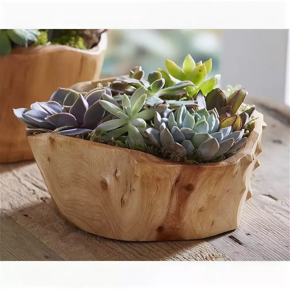 Кашпо с суккулентами и декором своими руками Succulent Garden in Root of the Earth Bowl VivaTerra Succulents, Succulents gard