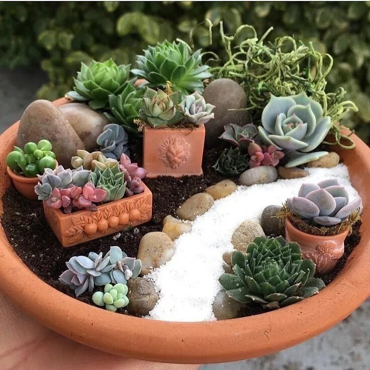 Кашпо с суккулентами и декором своими руками Pin by Arlene Furniture Painting & Mo on Mini Gardens Succulent garden diy, Mini