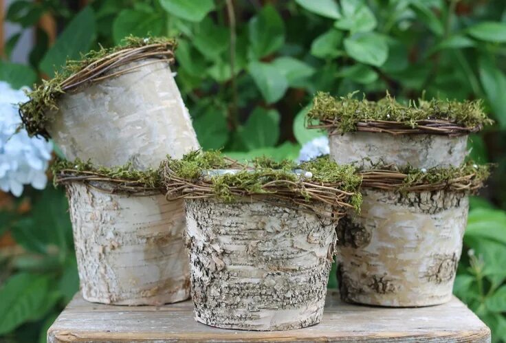 Кашпо своими руками фото Snow White Natural Birch Bark Flower Pot/Vase Lined With Twigs of Grapevine & Mo