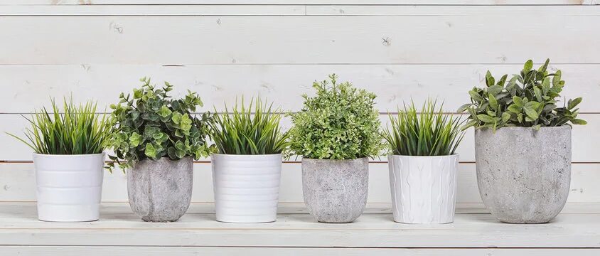 Кашпо в интерьере фото Plants Pot Изображения: просматривайте стоковые фотографии, векторные изображени