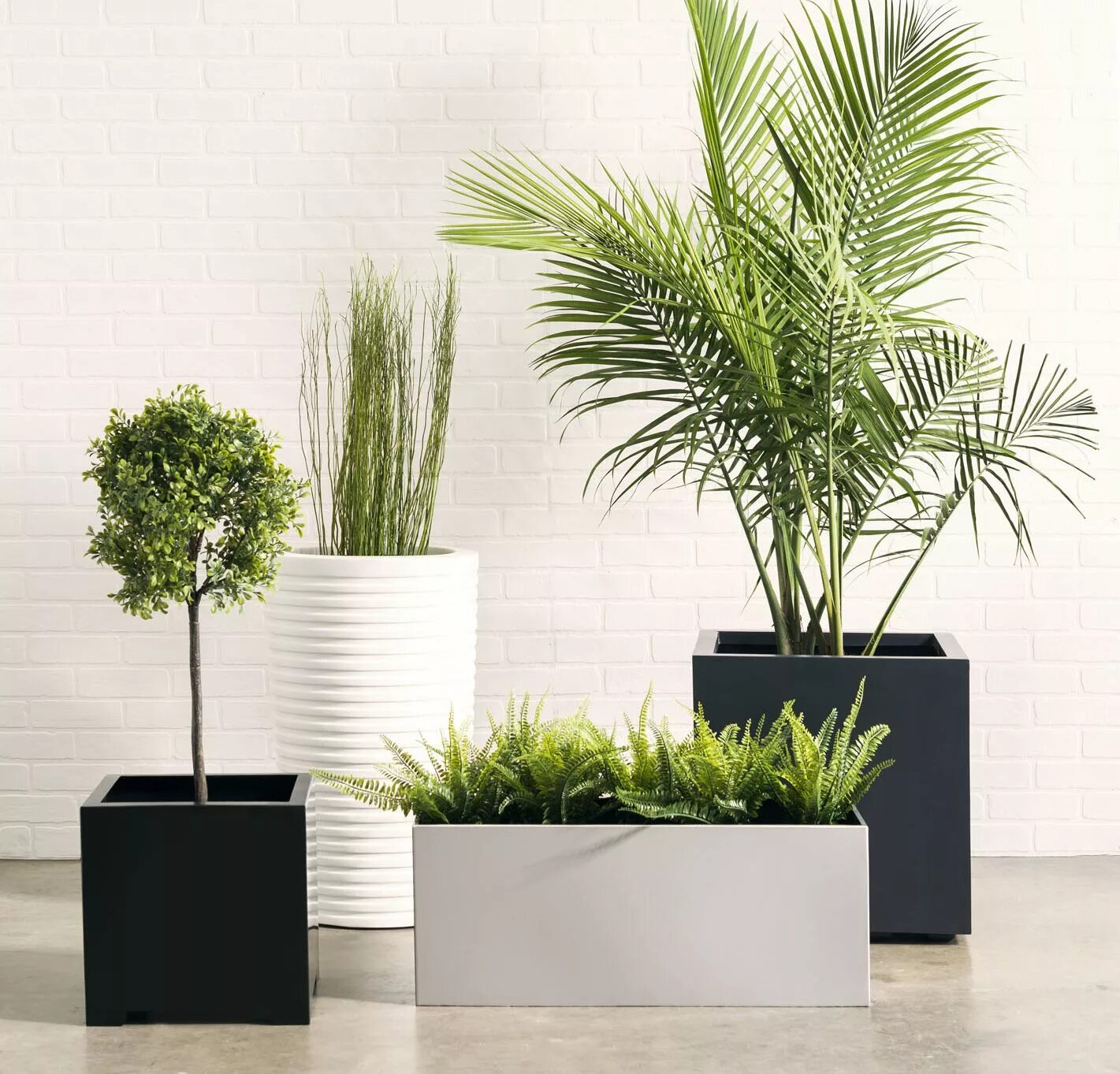 Кашпо в интерьере фото NMN Designs Outdoor Planters, Modern Planters, Pots, Boxes, Containers. Modern O