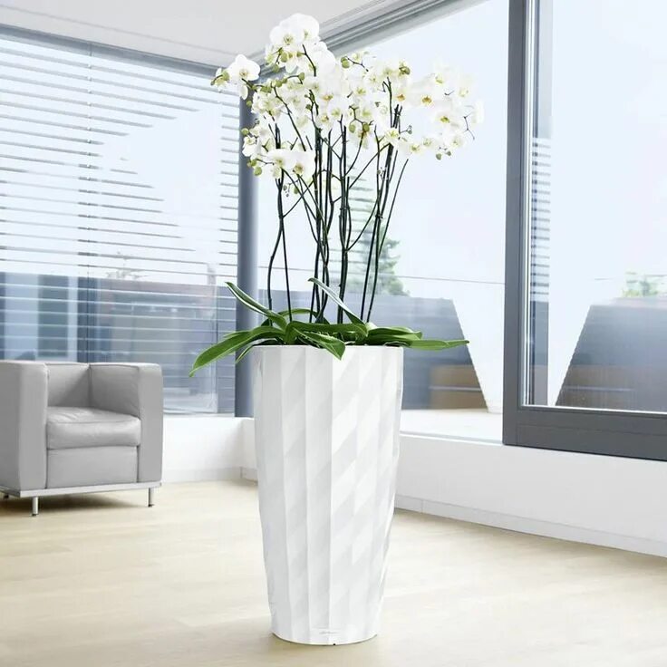 Кашпо в интерьере фото Round Lechuza Diamante Self-Watering Indoor Planter www.hayneedle.com Piante art