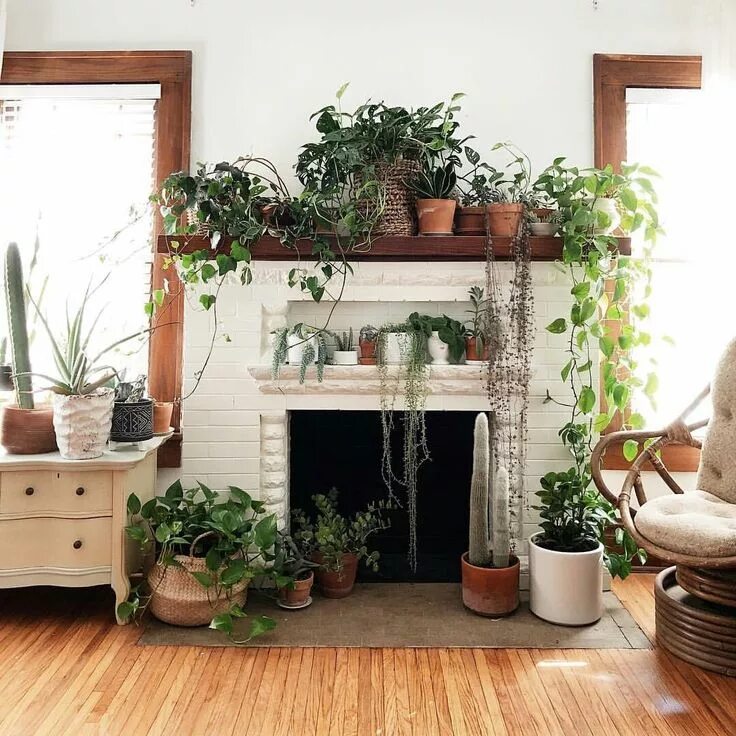 Кашпо в интерьере гостиной OldFarmHouse Fireplace mantle decor, House plants decor, Fireplace decor