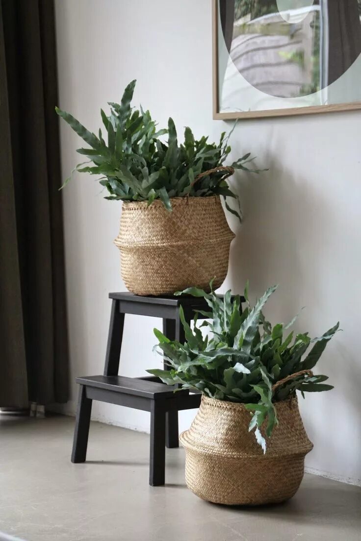 Кашпо в интерьере гостиной Ikea Fladis Basket Home decor, Interior plants, Decor