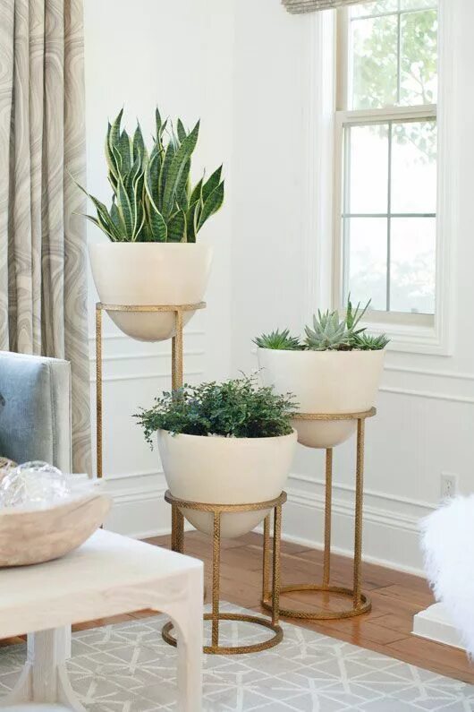 Кашпо в интерьере гостиной Bring the outside in! These elegant planters are a great way to liven up a room 