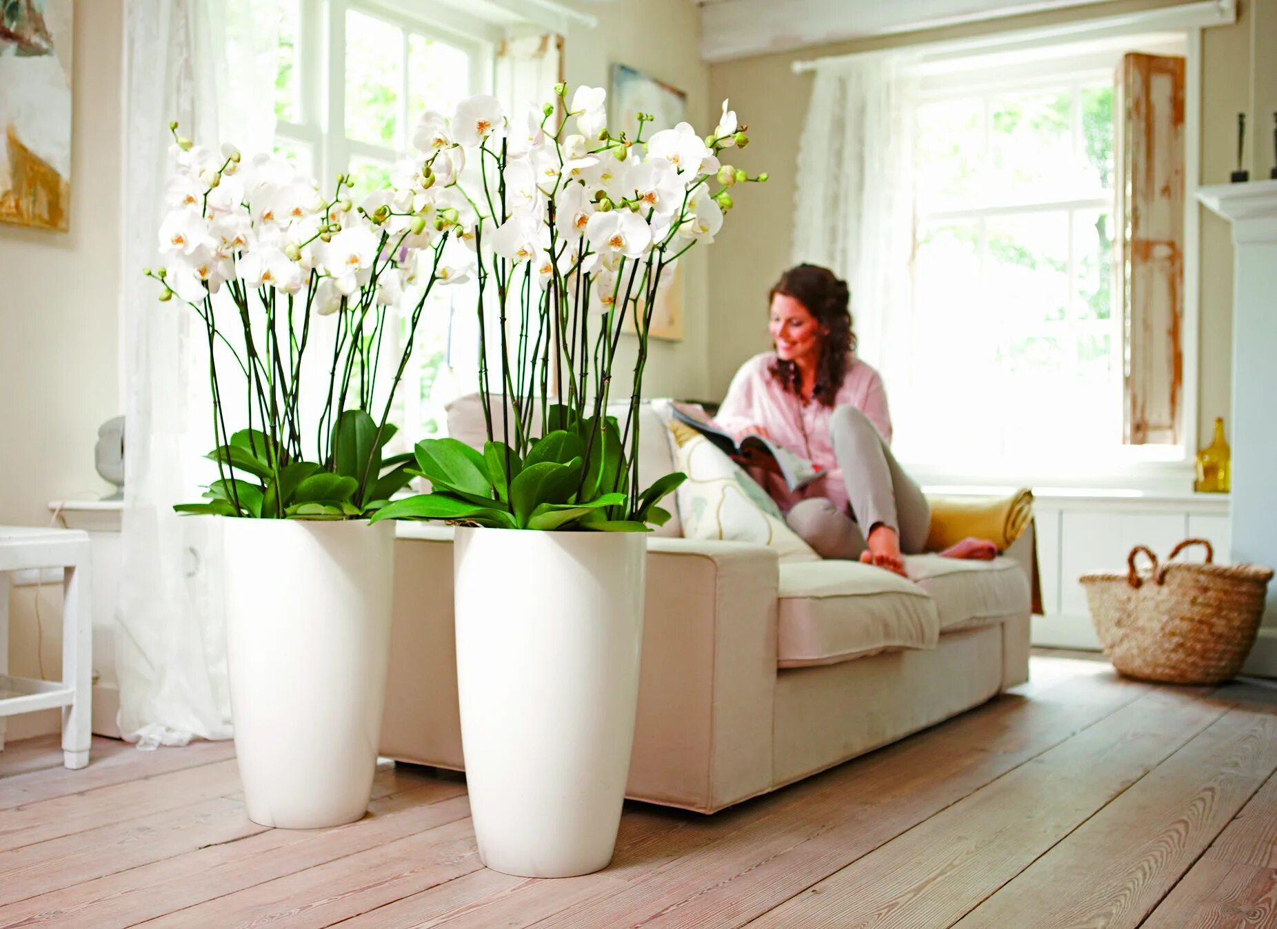 Кашпо в интерьере гостиной Indoor brussels diamond round high - elho.com #orchids #design #pure Ideer bolig