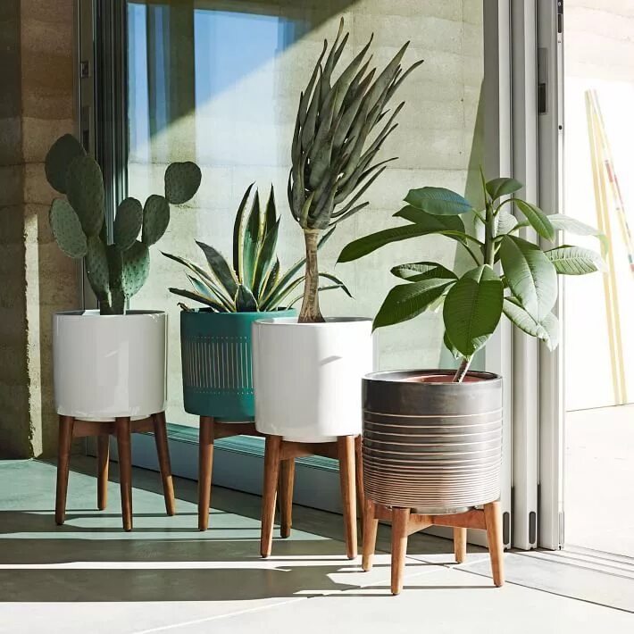 Кашпо в интерьере гостиной My Search for a Midcentury Modern Plant Stand - Welcome Objects Modern plant sta