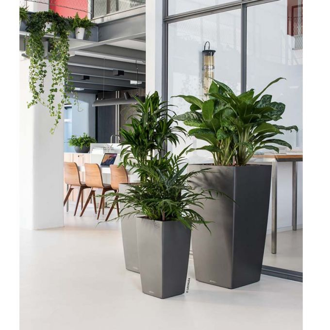 Кашпо в интерьере гостиной Premium Self-Watering Floor Planter