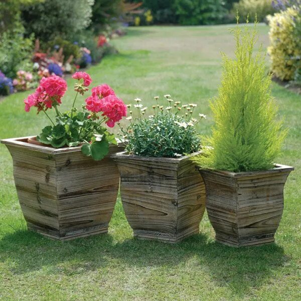 Кашпо в саду фото Wooden Planters on a Lush Green Field