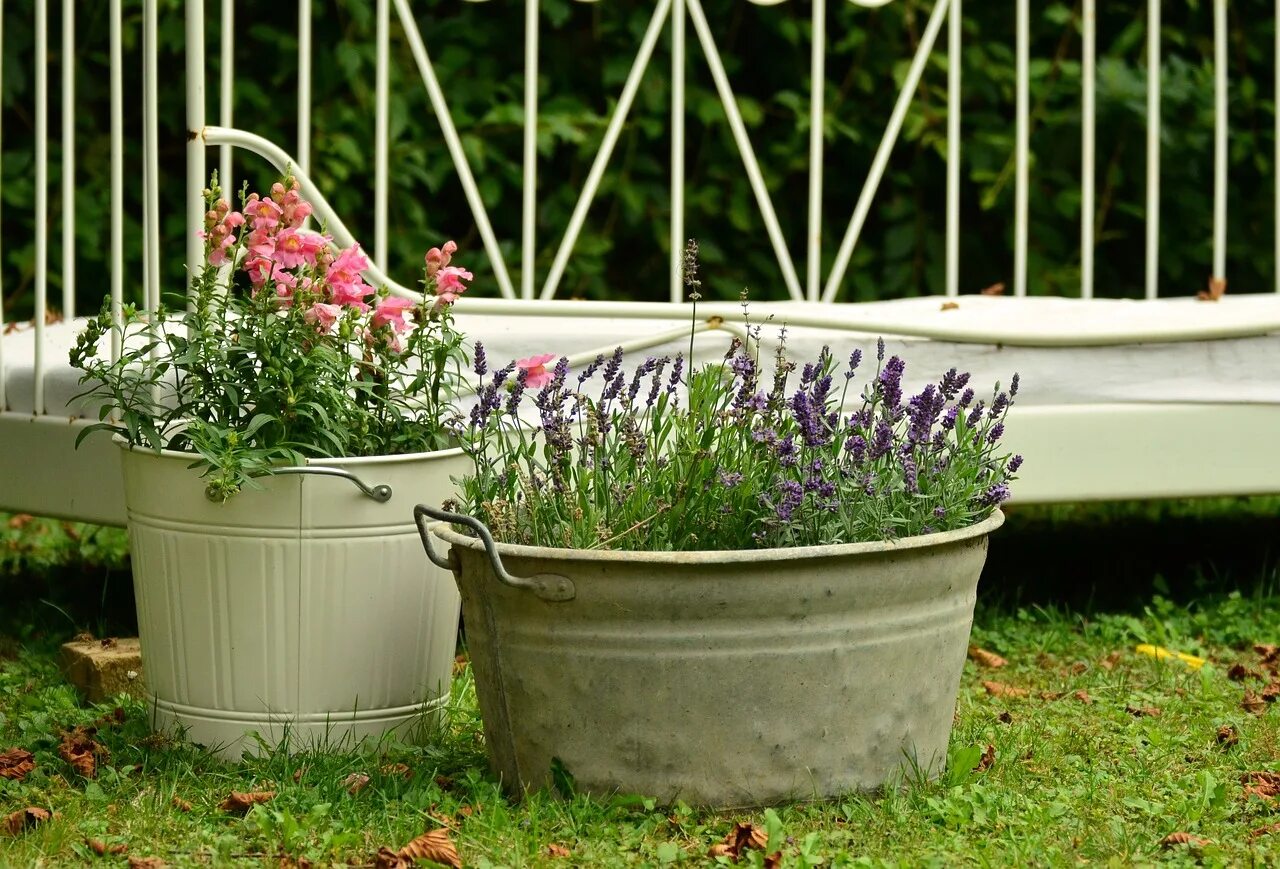 Кашпо в саду фото Try Container Gardening - A Great Option for Small Spaces Nebraska Extension in 