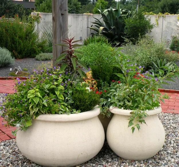 Кашпо в саду фото Vietnam lightweight concrete pots Lightweight concrete Pots, Vietnam cement plan