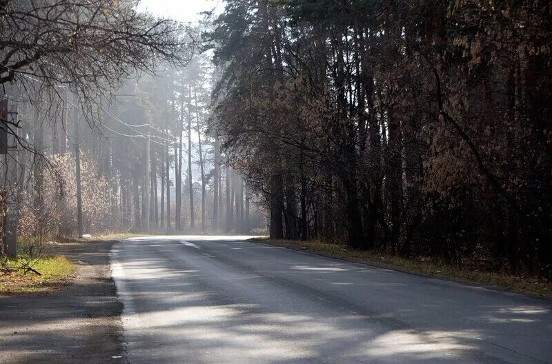 Каштак челябинск фото Каштак и Новое поле: chelchel.ru - ЖЖ