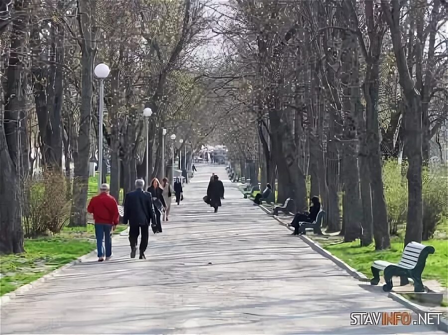 Каштан бульвар генерала ермолова ставрополь 3 фото Бульвар им. Генерала Ермолова - Ставрополь