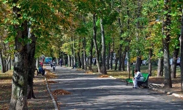 Каштан бульвар генерала ермолова ставрополь 3 фото ВКонтакте