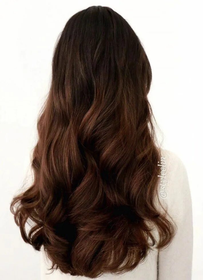 Каштановые волосы фото 40 Unique Ways to Make Your Chestnut Brown Hair Pop Chestnut hair color, Chestnu