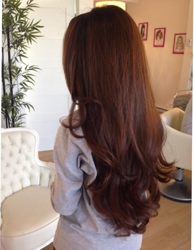 Каштановые волосы фото Love this gorgeous health chestnut brown long hair. if i could ever be happy wit