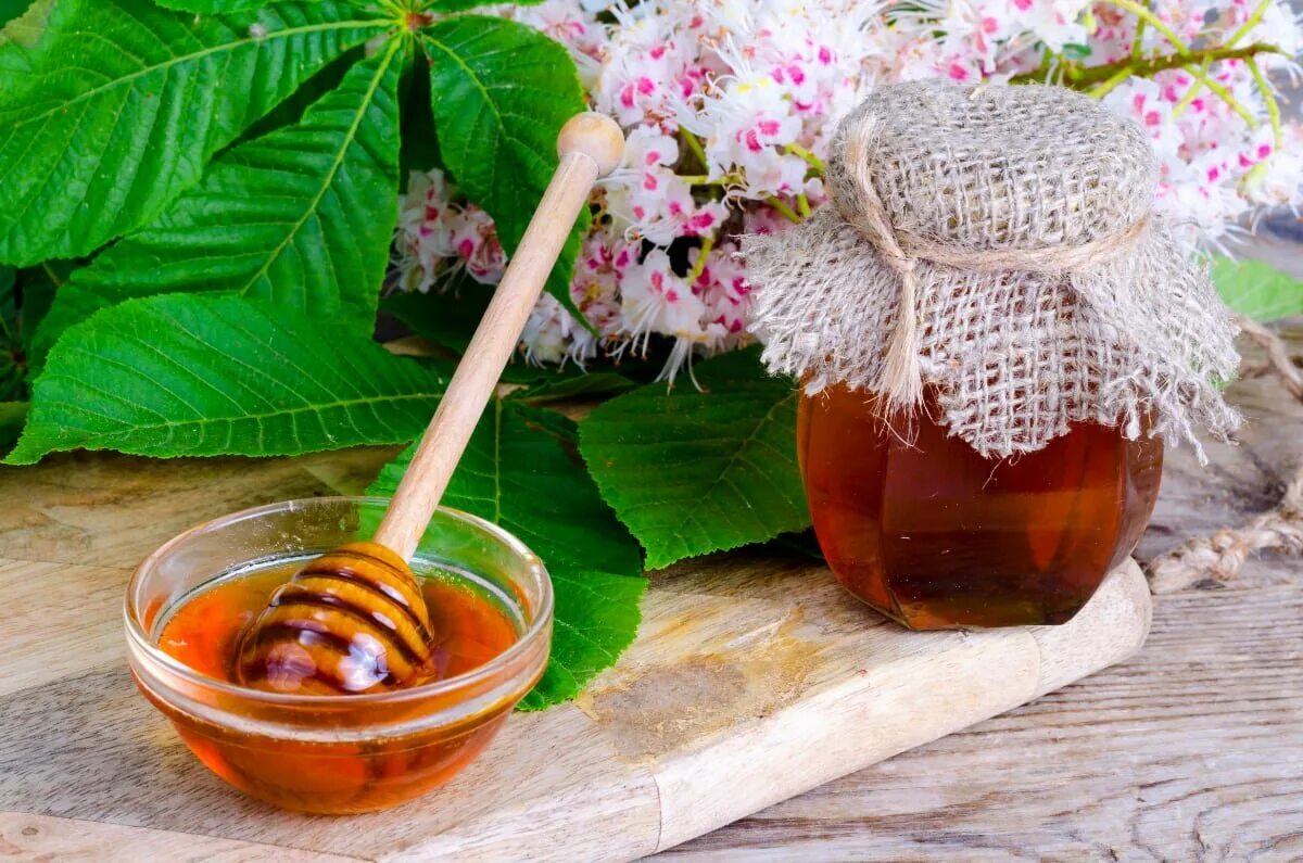Каштановый мед фото Все о меде Каштановый Таёжный мёд Алтая ALLHONEY Дзен