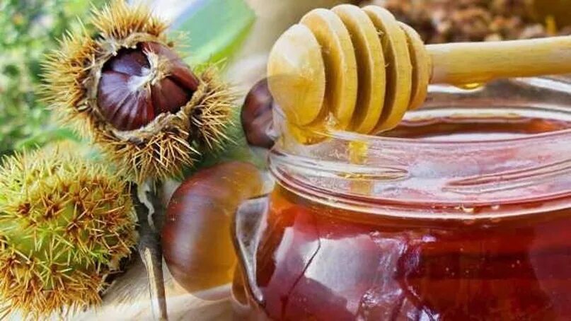 Каштановый мед фото Вкусные орехи каштана отличаются питательностью, в них содержится большое количе