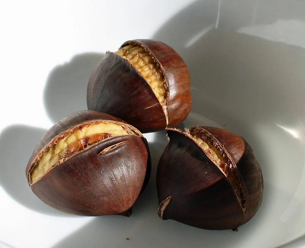 Каштановый орех фото Fanatic Cook: How To Roast Chestnuts Roasted chestnuts, Chestnut recipes, Savory