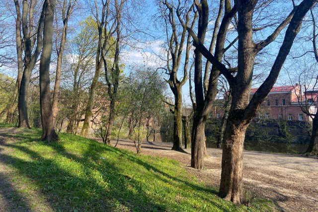 Каштановый парк калининград каштановый парк фото Власти Калининграда не определились со сроками благоустройства парка за башней В
