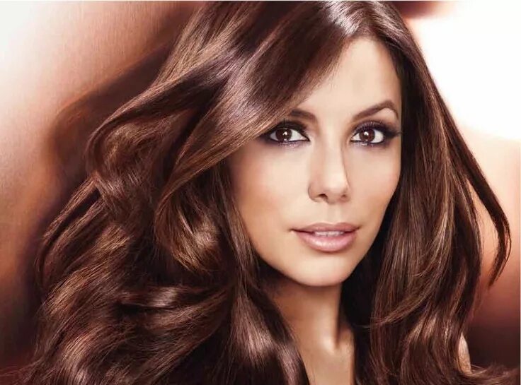 Каштановый цвет волос фото для карих Eva Longoria Brown hair colors, Hair color, Hair