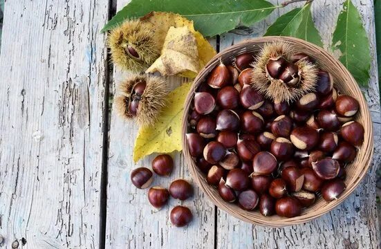 Каштаны в интерьере квартиры Castagne Изображения: просматривайте стоковые фотографии, векторные изображения 