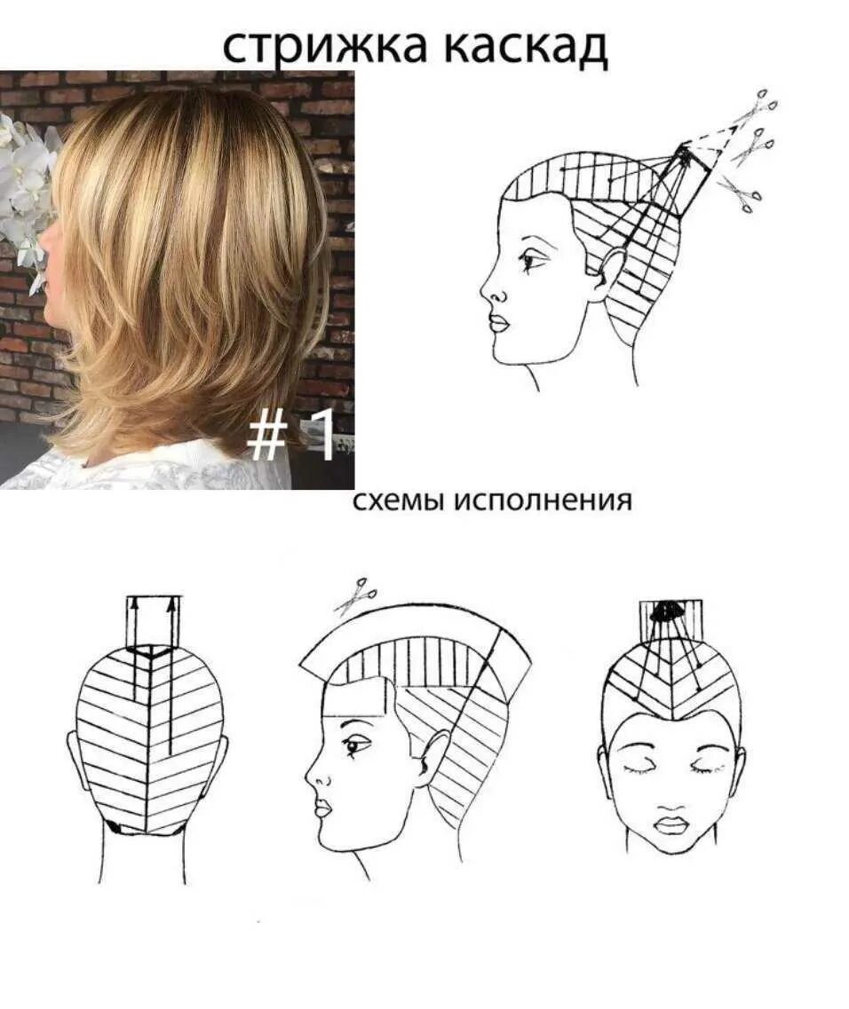 Каскад стрижка фото на средние пошагово Круглые слои стрижка схема