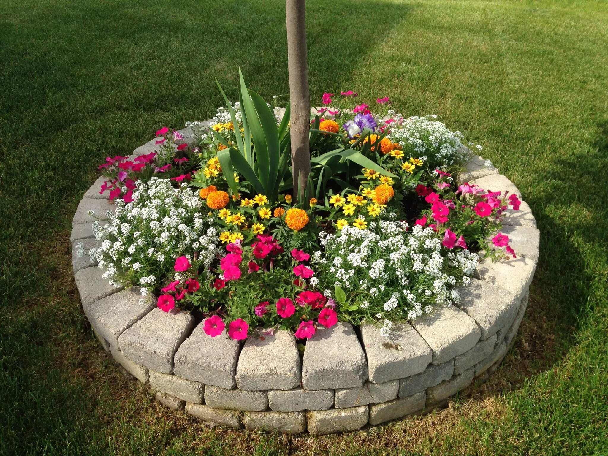 Каскадная клумба фото #Stone #Flower bed #diy Backyard landscaping designs, Front yard garden design, 