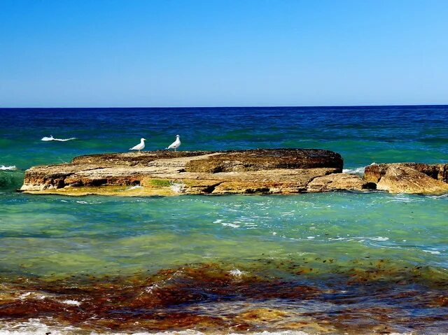 Каспийское море берег фото Каспийское море исчезнет из-за глобального потепления