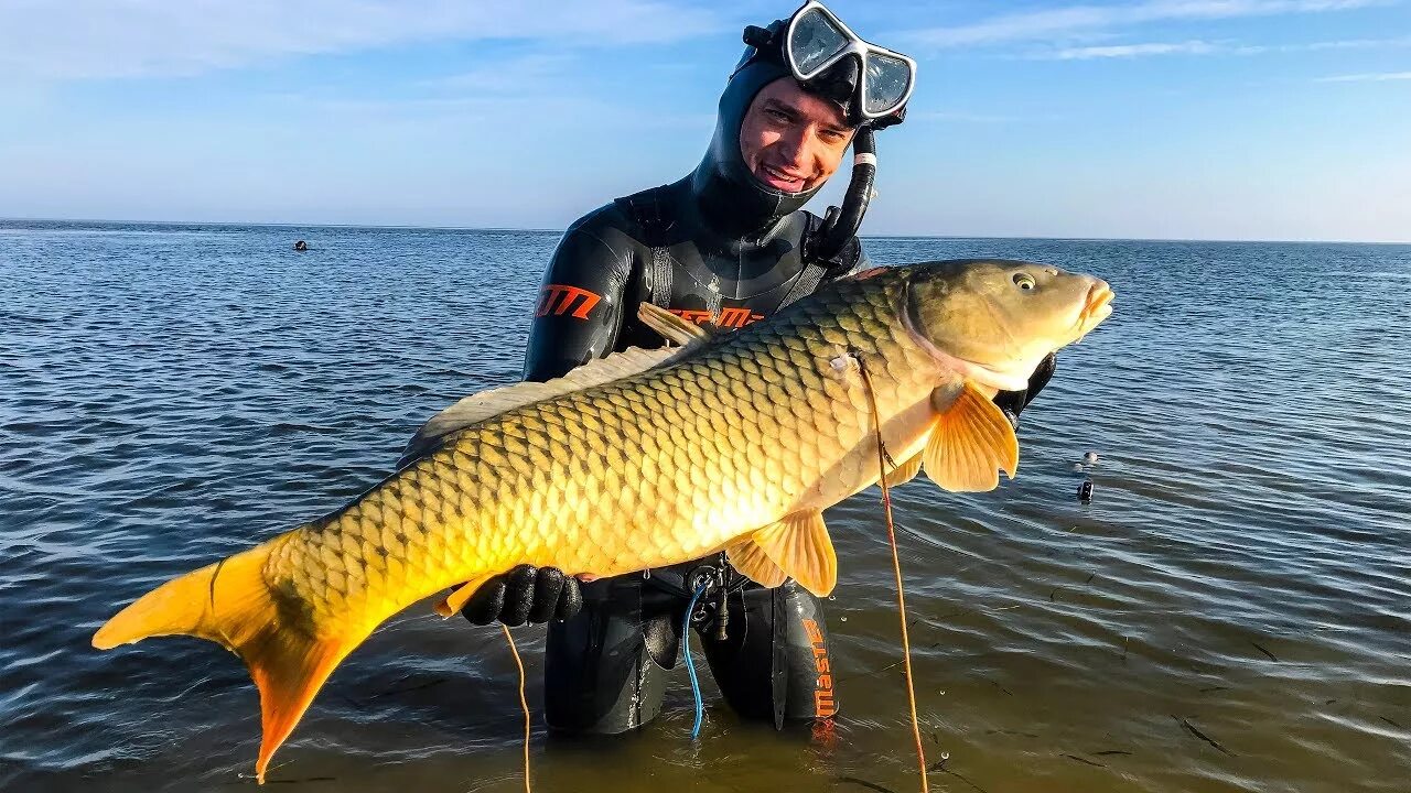 Каспийское море какая рыба водится фото Что Скрывается в Каспийском Море. Подводная Охота на Раков - YouTube