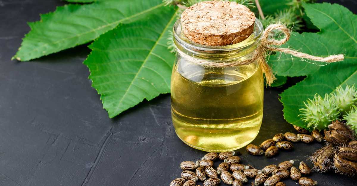 Касторовое масло аромасинтез фото 9 Amazing Benefits of Drinking Castor Oil for Weight Loss and Its Side Effects! 