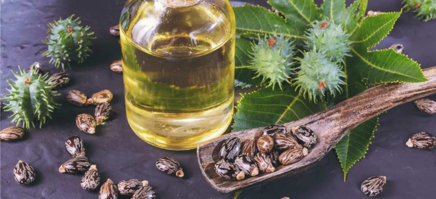 Касторовое масло растение фото Cold Pressed Castor Oil