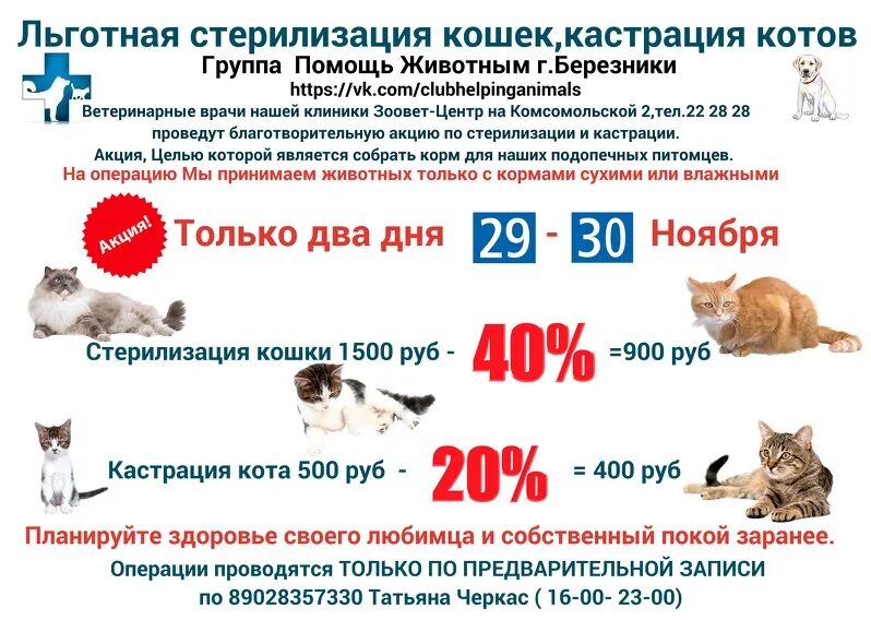 Кастрация кота фото до и после Мы определились с графиком и ценами. Ветклиника Зоовет-Центр пошла нам на встреч