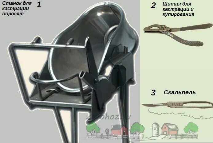 Кастрация поросят своими руками схема Станок для кастрации