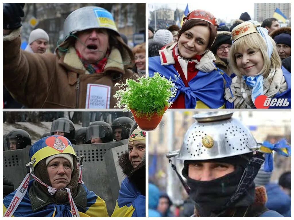 Кастрюли на голове майдан фото Plants on the march