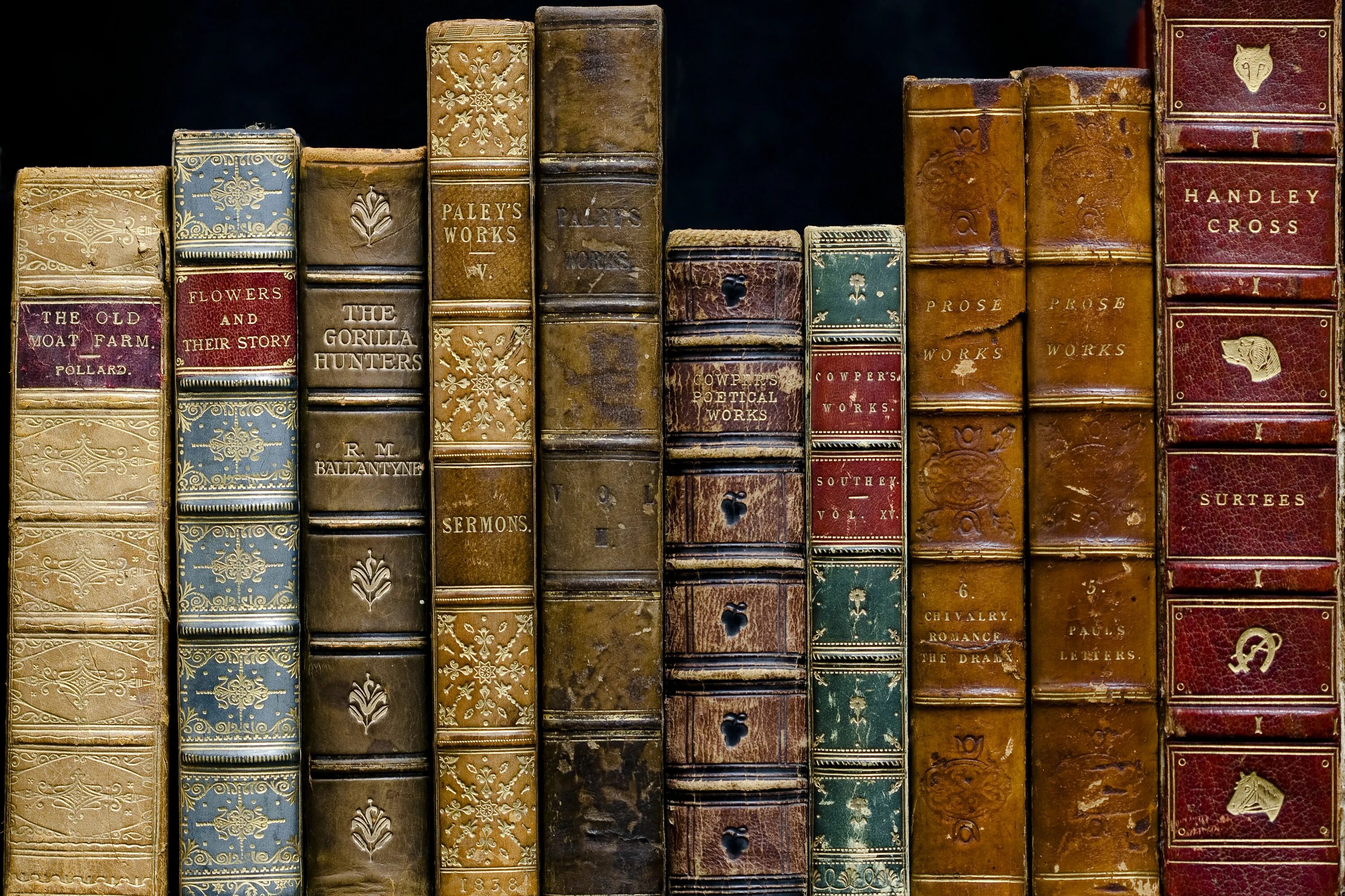 Каталог книг фото 5 Classic Novels Everyone Should Read Antique books, Books, Npr books