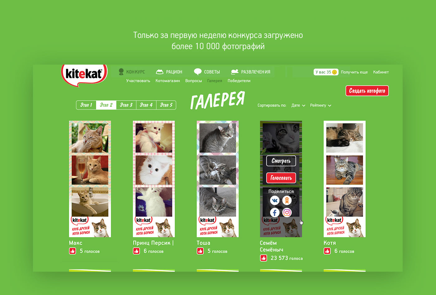 Каталог котов фото Contest on kitekat website :: Behance