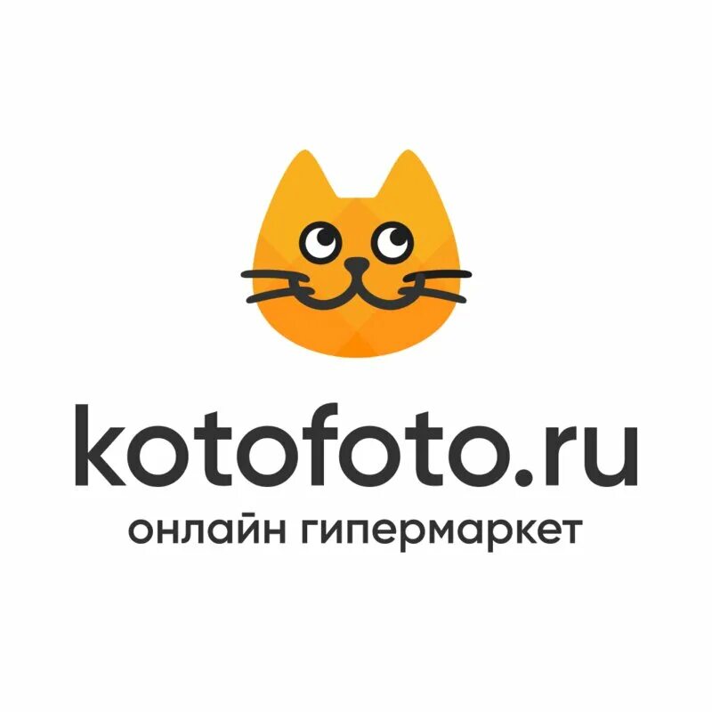 Каталог котов фото КотоФото, онлайн-гипермаркет в Ростове-на-Дону - отзывы, адрес, телефон, фото - 