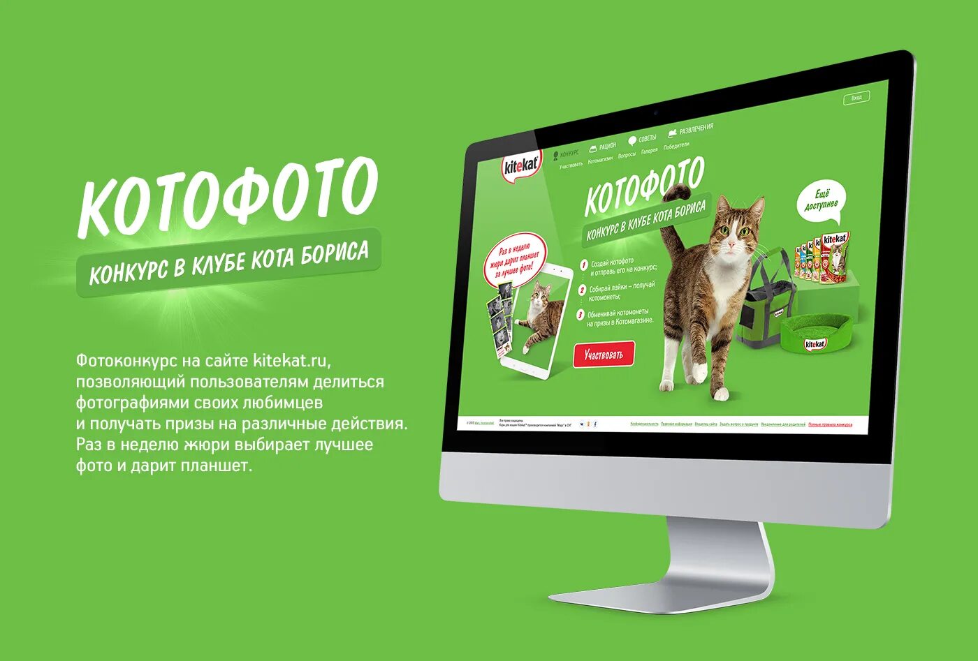 Каталог котов фото Contest on kitekat website (1) Images :: Behance